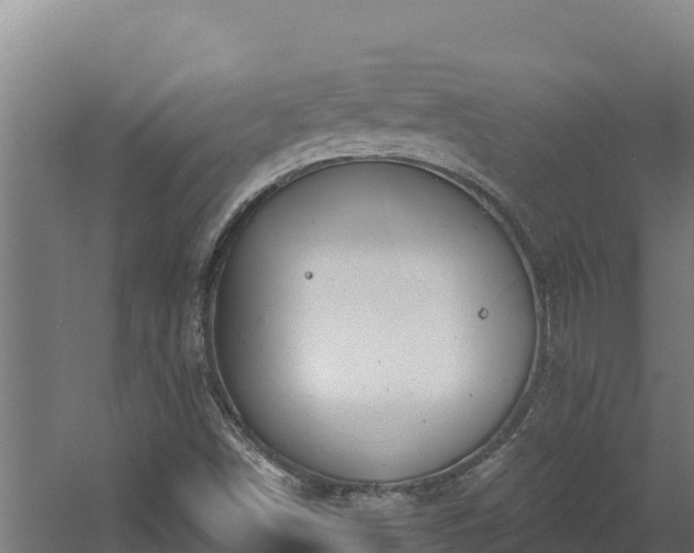 X0000060581498200511071031