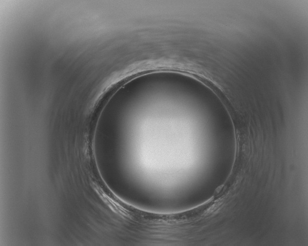 X0000060581499200511071031