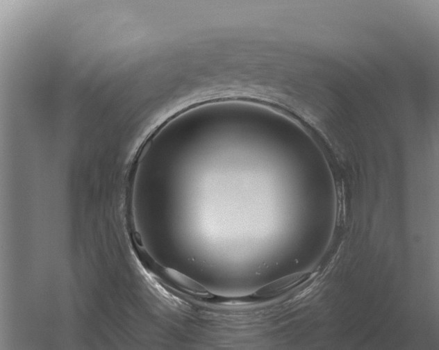 X0000060581500200511071031