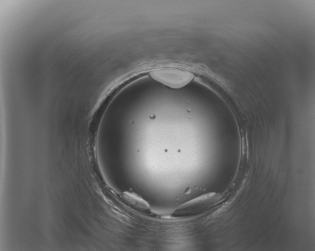 X0000060581501200511071031