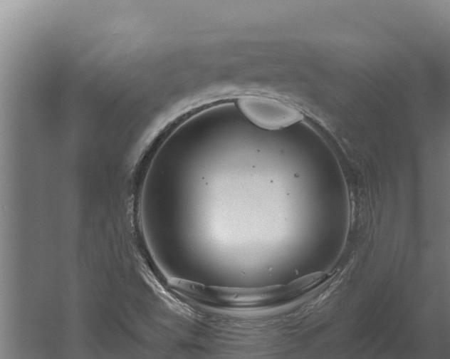 X0000060581503200511071032