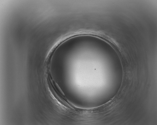 X0000060581504200511071032