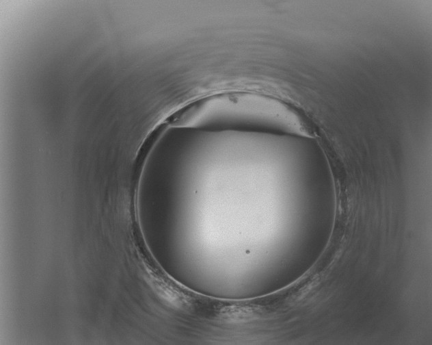 X0000060581505200511071032