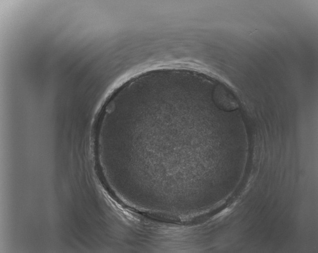 X0000060581506200511071032