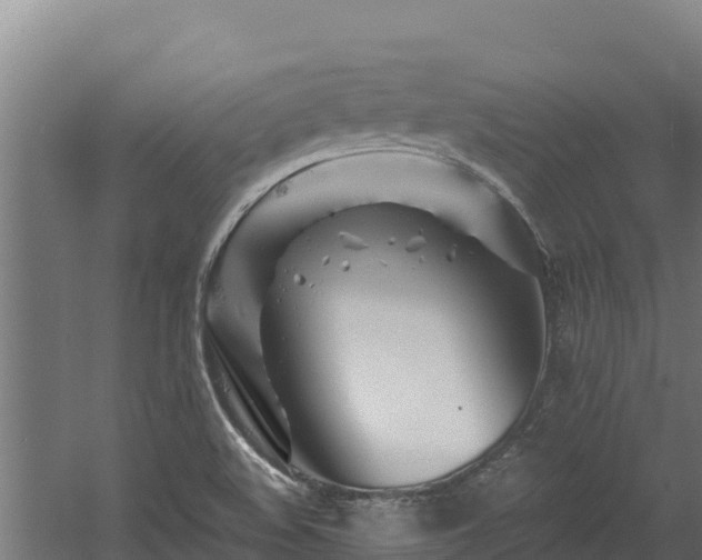 X0000060581508200511071032