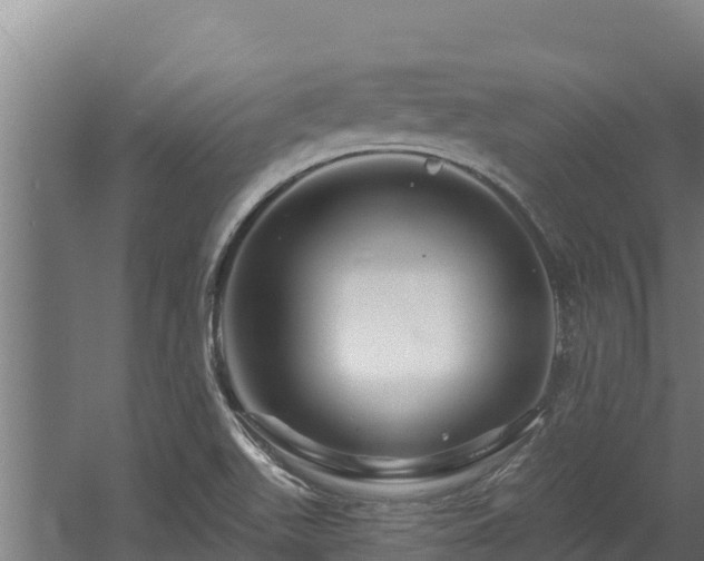 X0000060581511200511071032