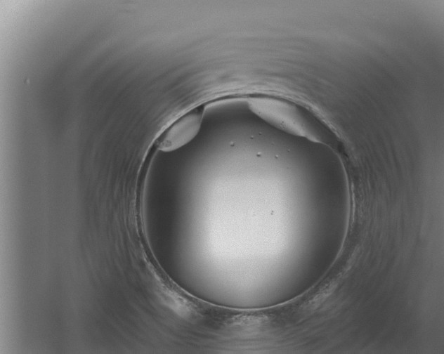 X0000060581513200511071032