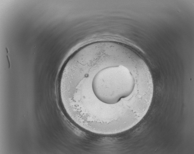 X0000060581514200511071032