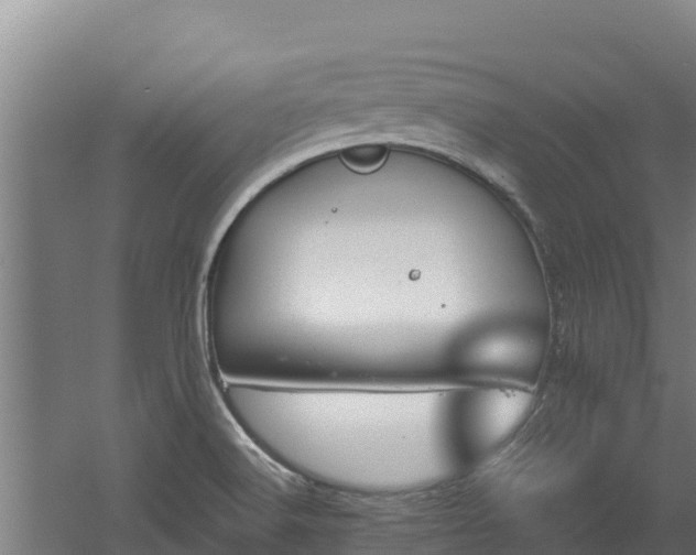 X0000060581516200511071032