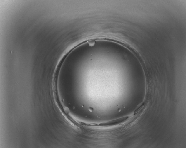 X0000060581517200511071032