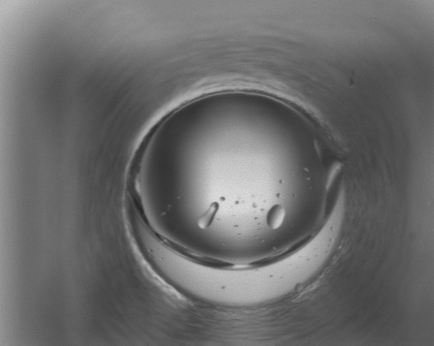 X0000060581518200511071032