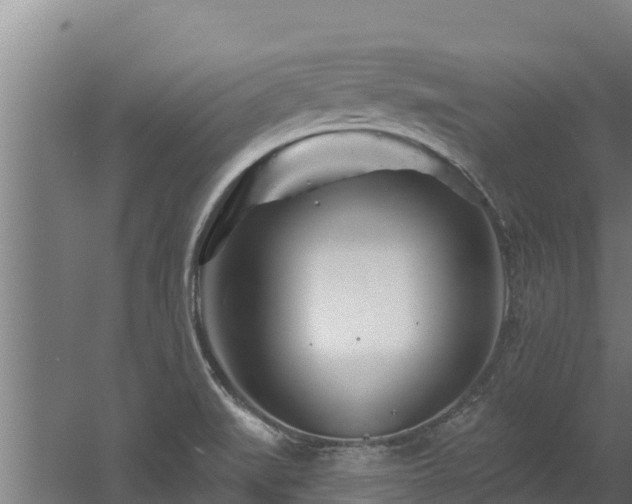 X0000060581519200511071032