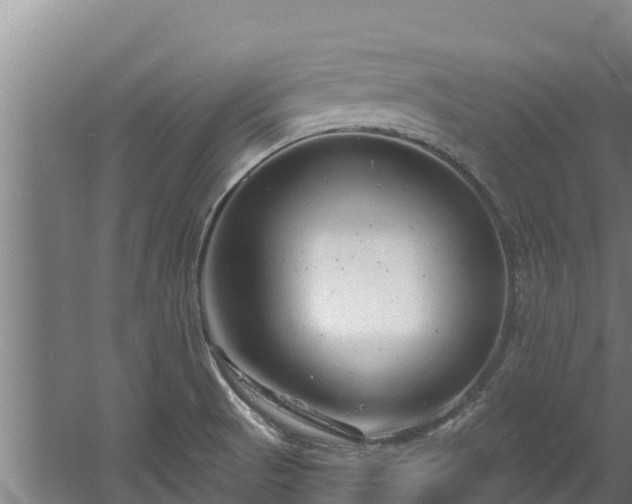 X0000060581521200511071032