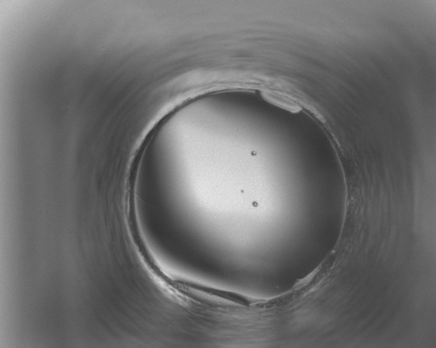 X0000060581523200511071032