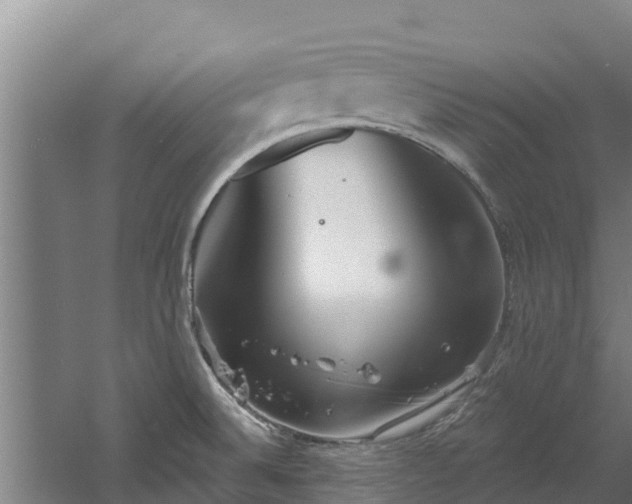 X0000060581524200511071032