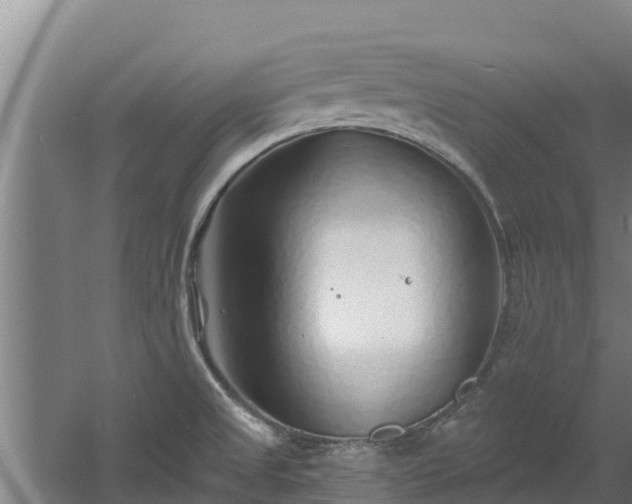 X0000060581525200511071032