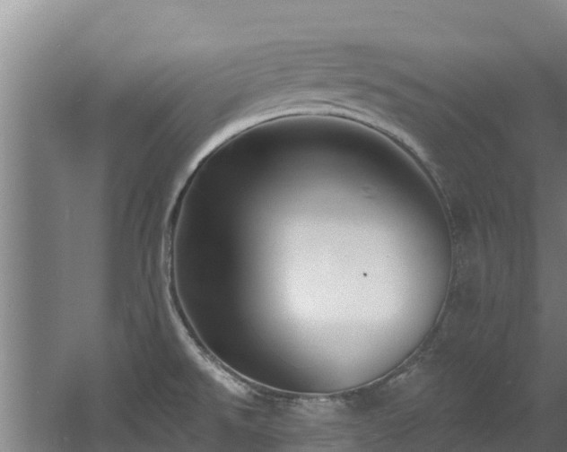 X0000060581526200511071032