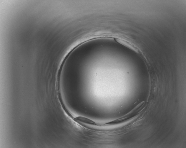 X0000060581527200511071032