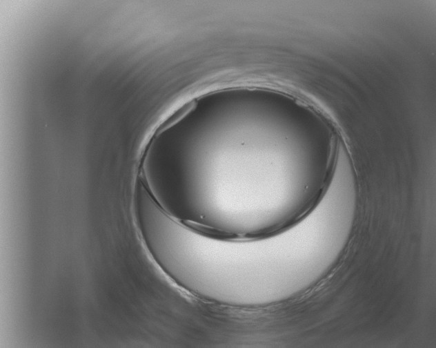 X0000060581528200511071032