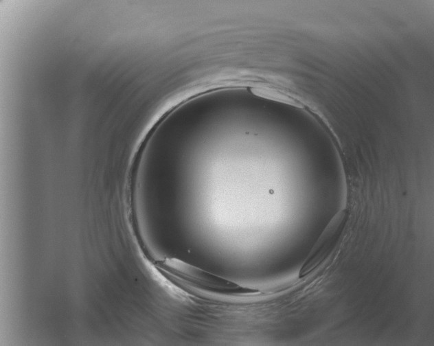 X0000060581531200511071032