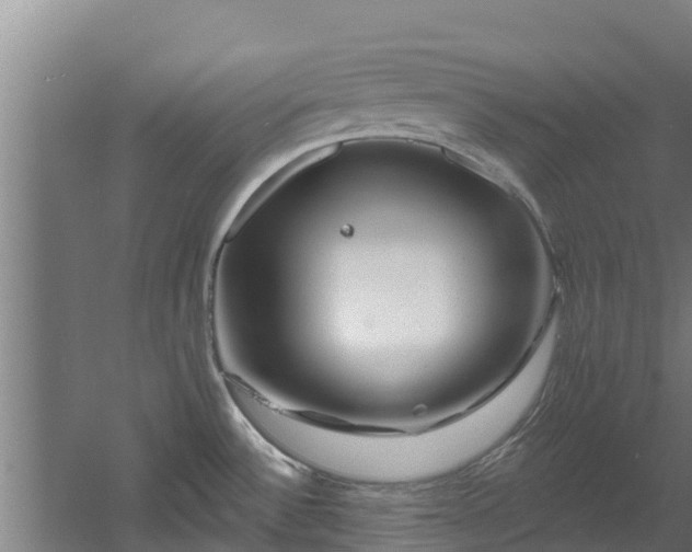 X0000060581532200511071032