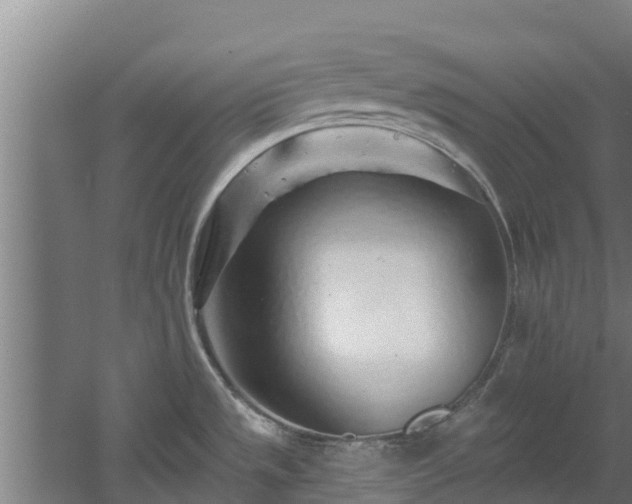 X0000060581533200511071032