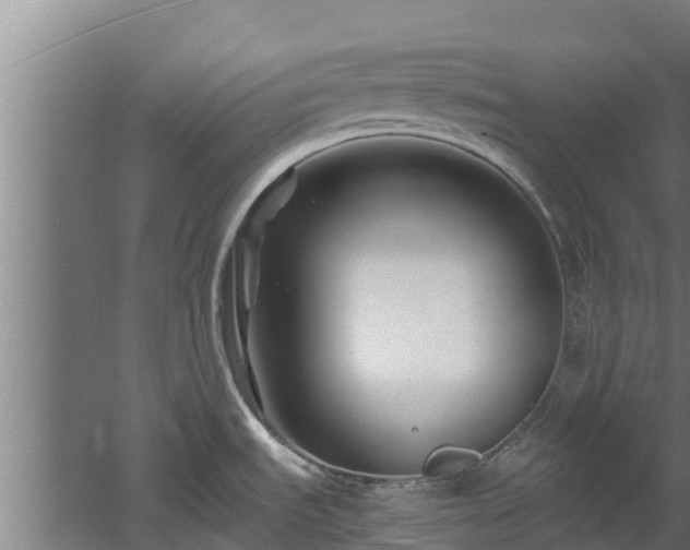 X0000060581535200511071032