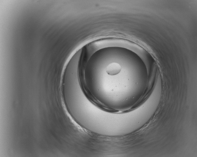 X0000060581536200511071032