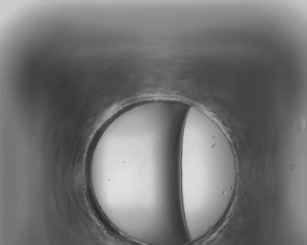 X0000060580008200511101708