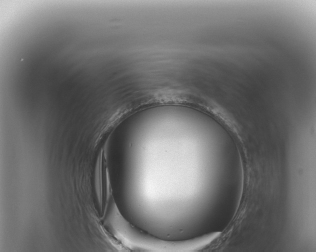 X0000060580009200511101708