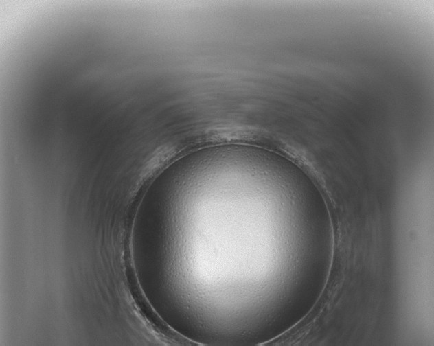 X0000060580010200511101708