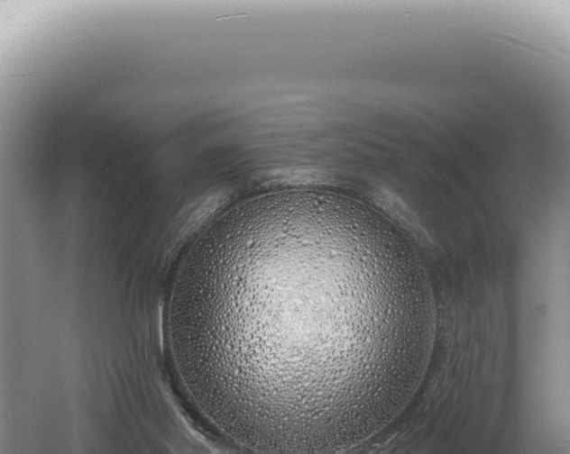 X0000060580014200511101708