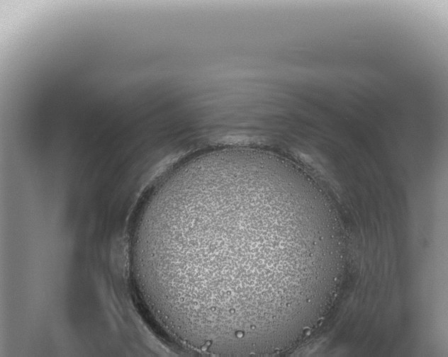 X0000060580016200511101708