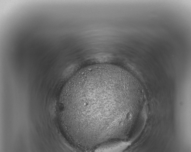 X0000060580018200511101708