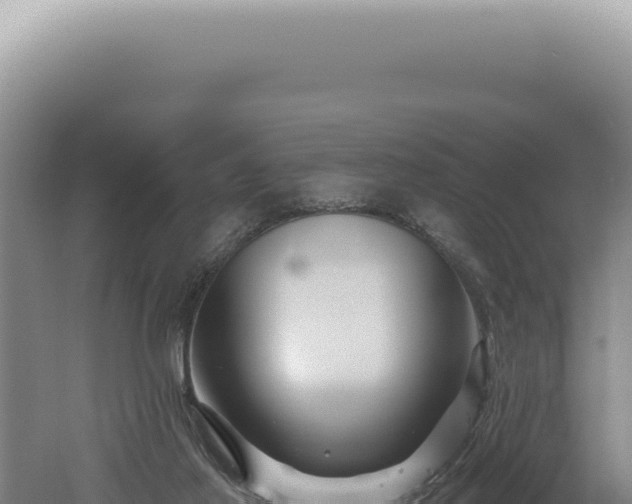 X0000060580021200511101708