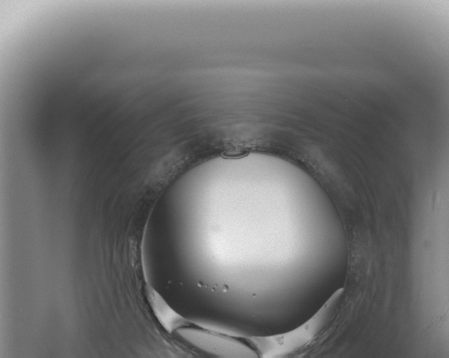 X0000060580025200511101708