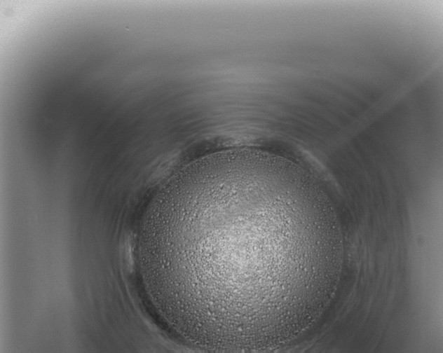 X0000060580026200511101708