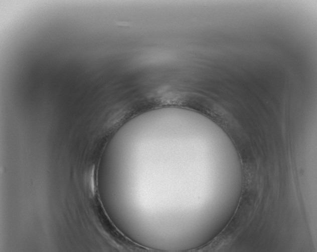 X0000060580028200511101708