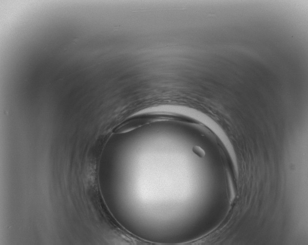 X0000060580033200511101708