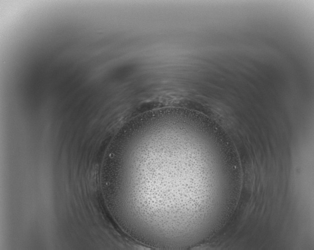 X0000060580034200511101708