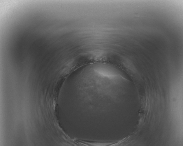 X0000060580039200511101707