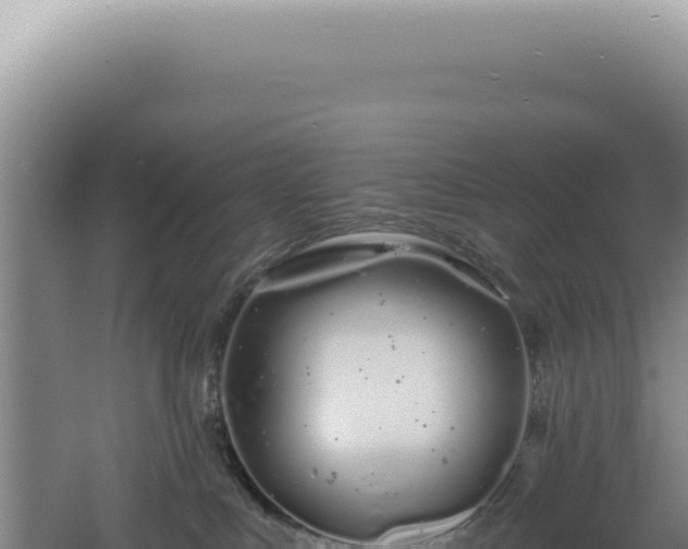 X0000060580043200511101707