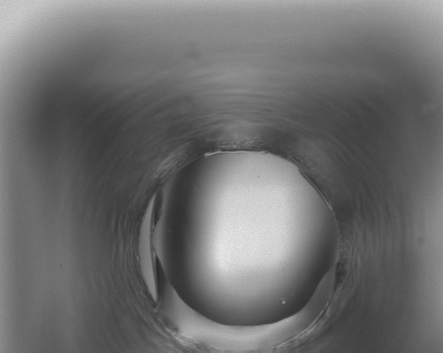 X0000060580045200511101707