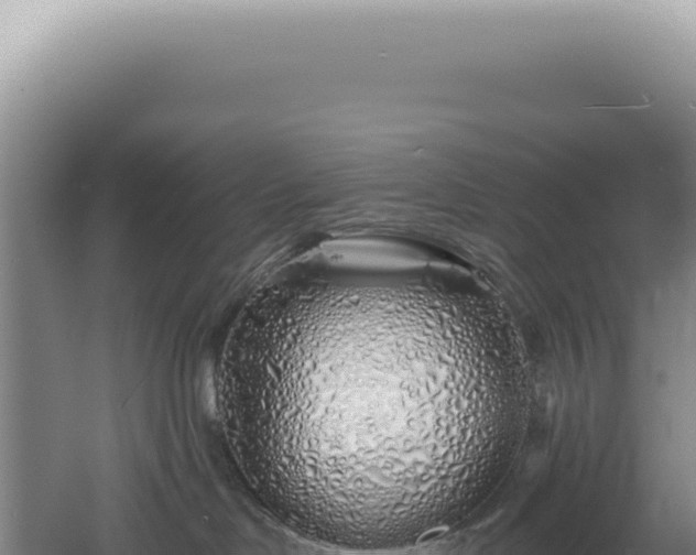 X0000060580046200511101707