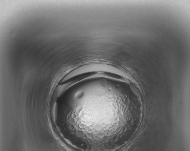 X0000060580049200511101706