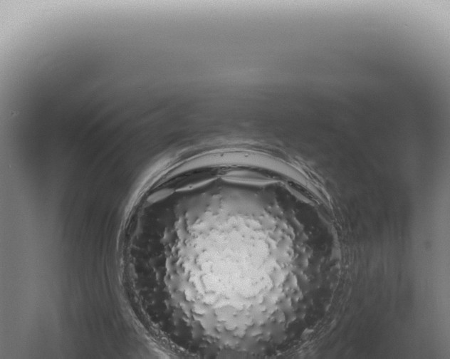 X0000060580053200511101707