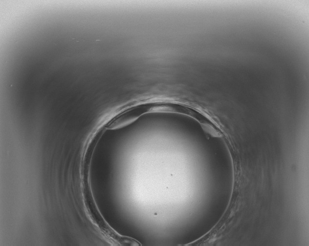 X0000060580055200511101707