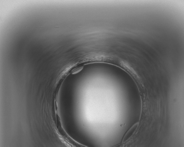 X0000060580058200511101707