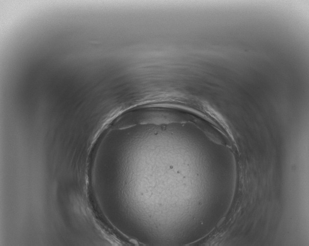 X0000060580059200511101707