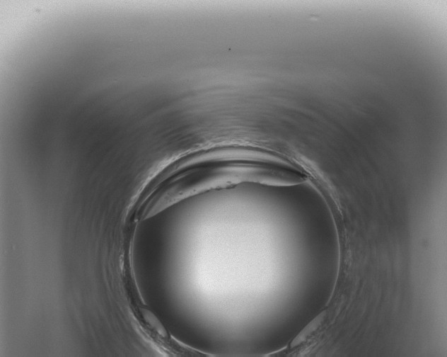 X0000060580060200511101707